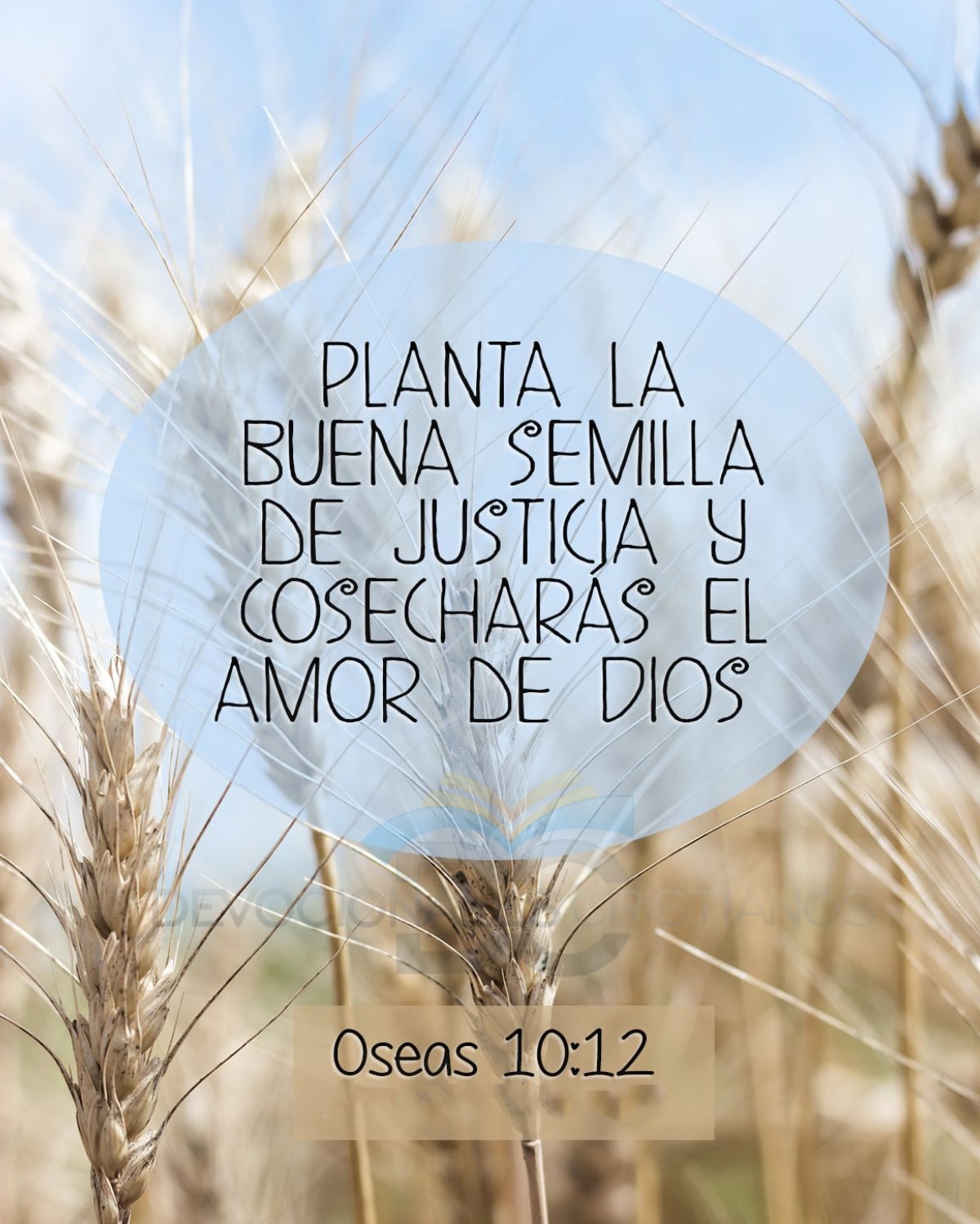 planta-buena-semilla-biblia