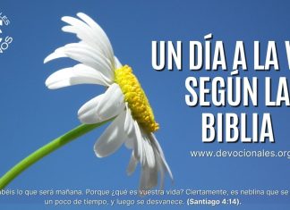 Un-dia-a-la-vez-segun-la-biblia-versiculos-biblicos-santiago-4