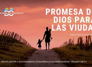promesas-viudas-biblia