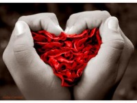 corazon rojo con manos