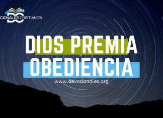obendiencia-palabra-Dios-textos