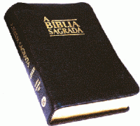 Biblia plan de lectura