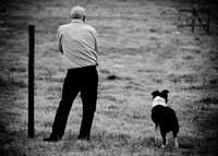 Hombre entrenando su perro