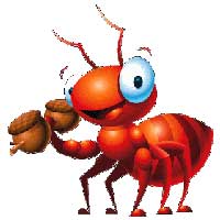hormiga-trabajadora-biblia