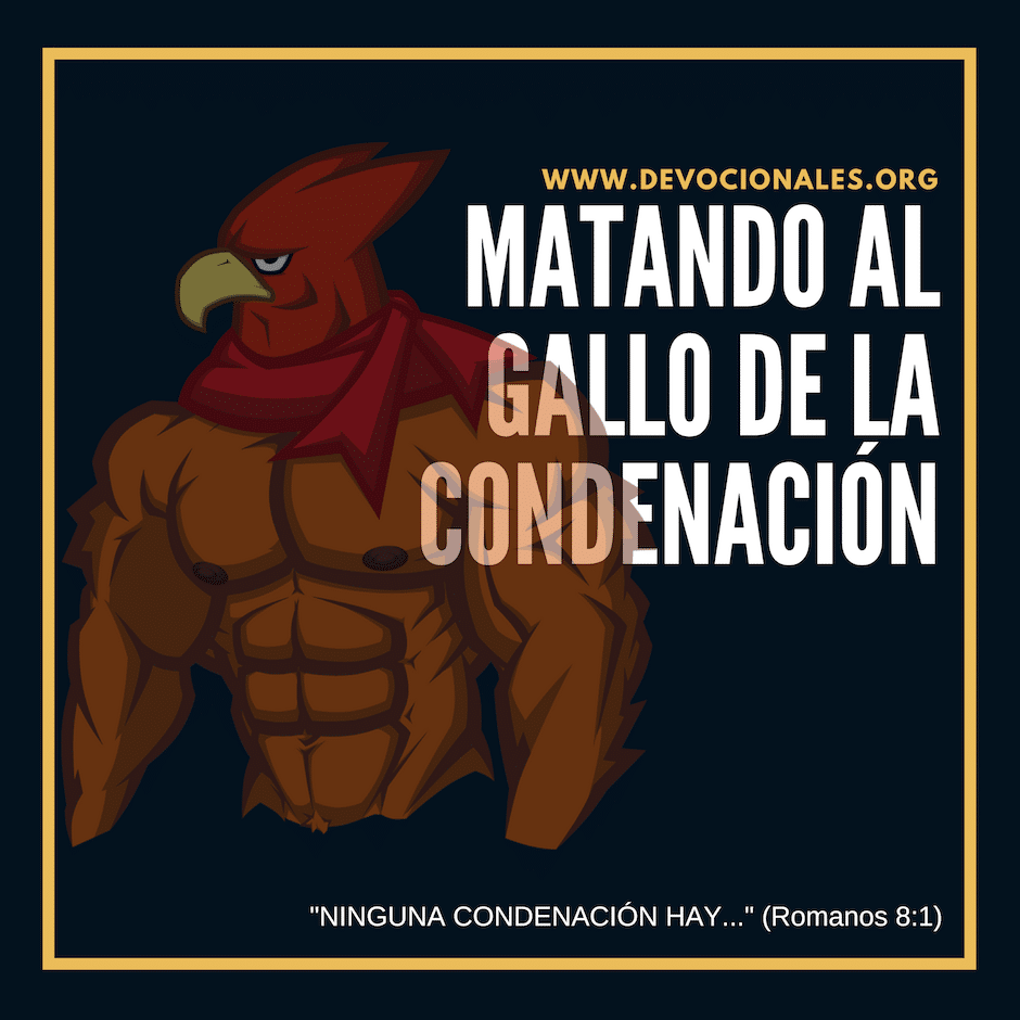 gallo-condenacion-biblia
