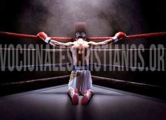 boxeador de rodillas biblia