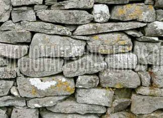 Muro de Piedras Biblia