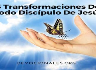 3 Transformaciones De Todo Discípulo De Jesús