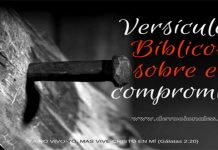 Jesús El Compromiso Y La Biblia