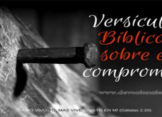 Jesús El Compromiso Y La Biblia