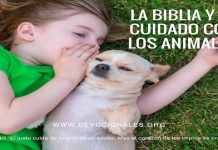 biblia-cuidado-animales