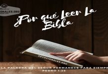 leer-estudiar-biblia