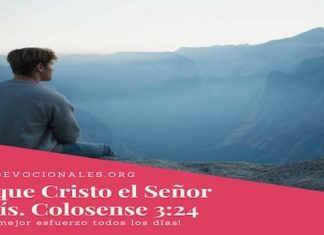 al-senor-servis-biblia-versiculos