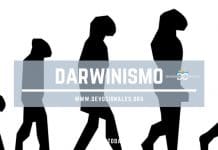 darwin-biblia-noticias