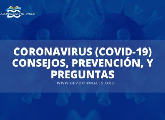 coronavirus-covid-19-que-es-causas-tratamiento
