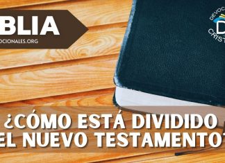 division-nuevo-testamento-biblia-libros-66-versiculos-27
