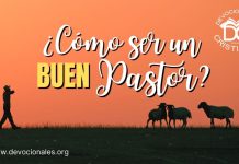 Como-ser-un-buen-pastor-primer-paso-para-ser-buen-pastor-biblia-versiculos