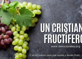 Que-significa-ser-un-cristiano-fructifero-biblia-frutos-versiculos-biblicos
