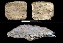 descubrimiento- arqueologico-en-el- monte-Ebal