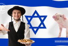 por-que-judios-no-comen-carne-de-cerdo-biblia